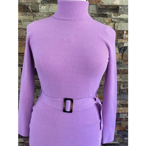 NWT Ann Taylor Belted Turtleneck Sweater Dress - Picture 4 of 5